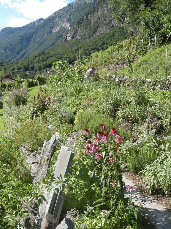 Eco-Hotel Cristallina Coglio Kültér fotó